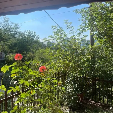 Skenderija Apartman *